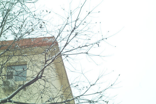 小區(qū)雪色