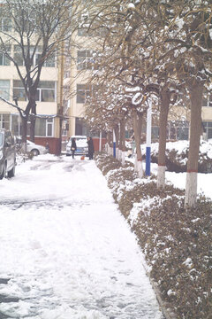 小區(qū)雪景