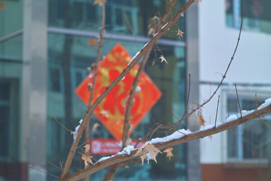 春節(jié)福字