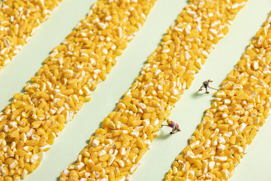 玉米碴微缩创意农民劳作图片