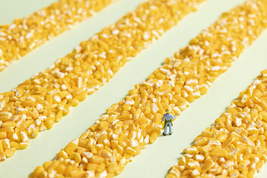 玉米碎农民丰收微缩创意海报