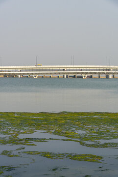 深圳人才公園后海大橋