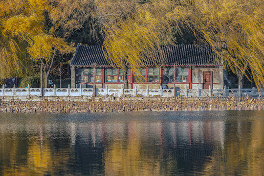 北海公園