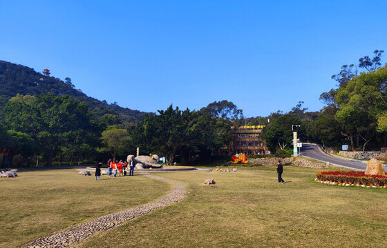 黃花山龜埕