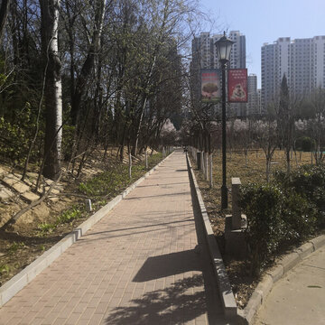 綠樹(shù)