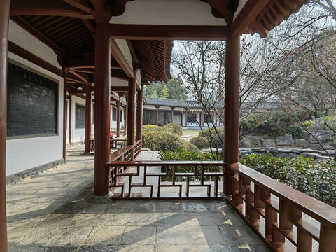 回廊迎春