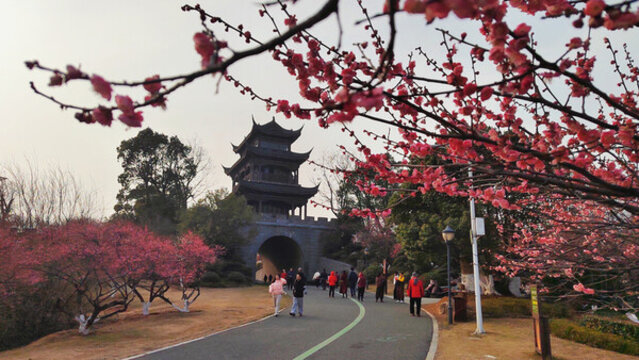 巴陵書院
