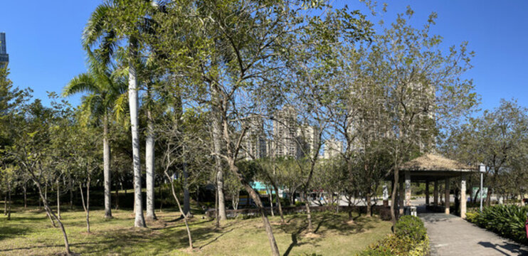 公園綠花景觀(guān)造型