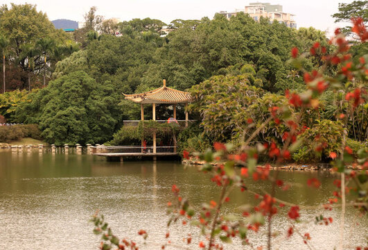 廣州華南植物園風(fēng)光
