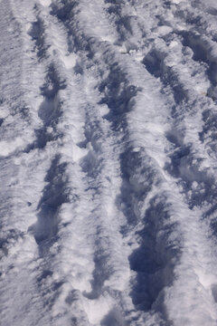 冬季雪地車轍