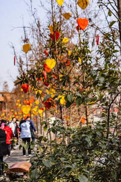 春節(jié)