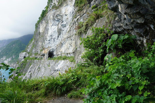 海邊山上遺棄的隧道