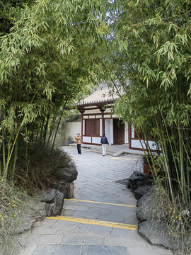 庭院竹林