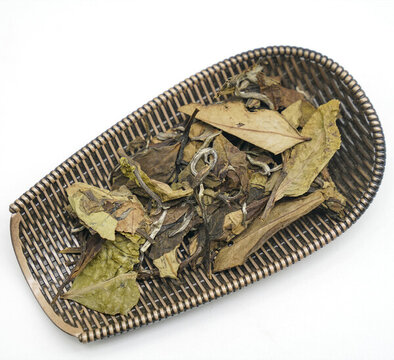 貢眉老白茶特寫素材