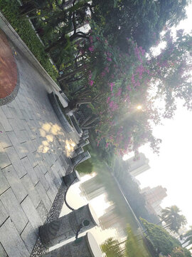 人民公園白龍?zhí)溜L光