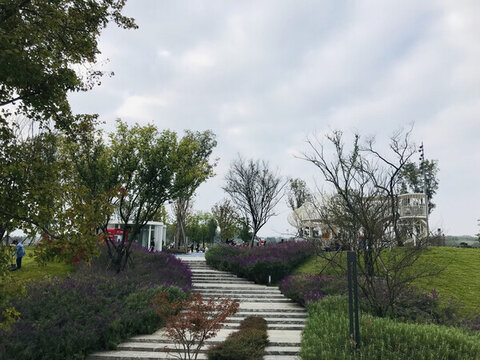 公園