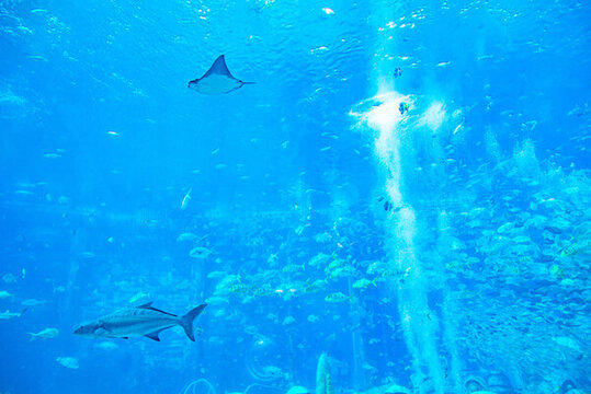 水族館