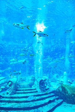 水族館
