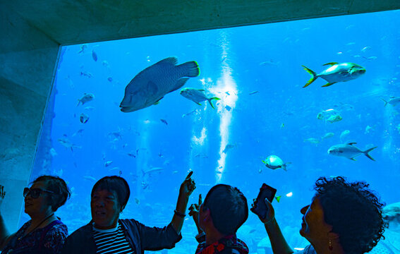 水族館的游客們