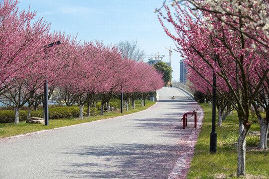 婚紗攝影基地
