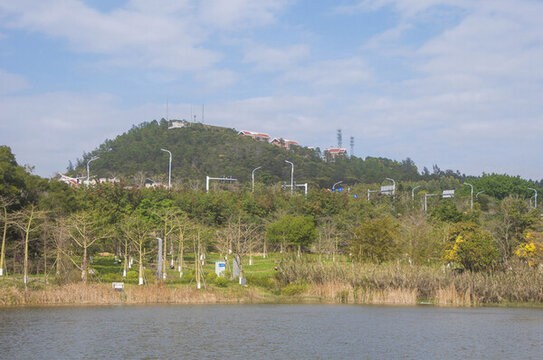 崎山