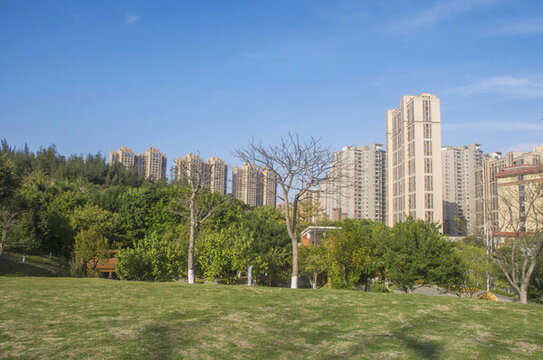 晉江城市公園與樓房