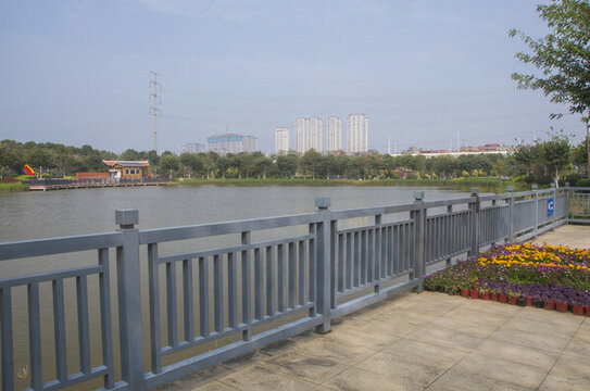 東山水系公園湖岸邊
