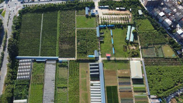 廣東東莞維康生態(tài)園