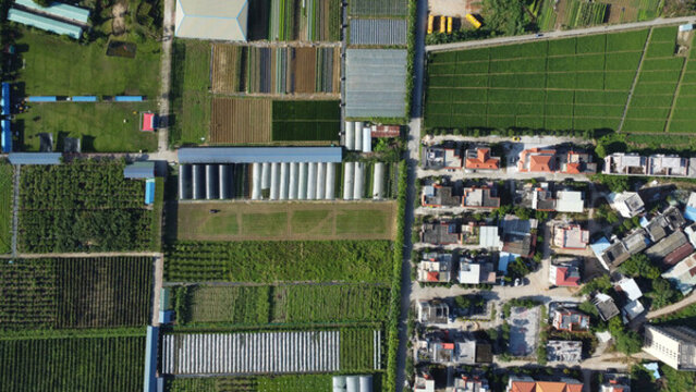 廣東東莞維康生態(tài)園