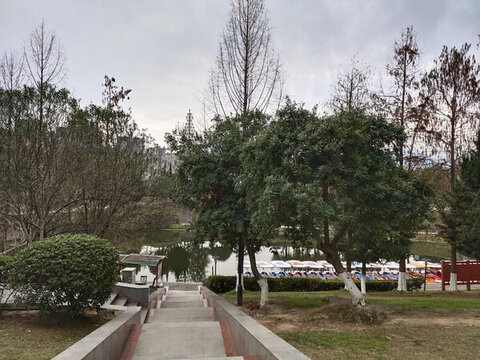公園里的綠植與過道