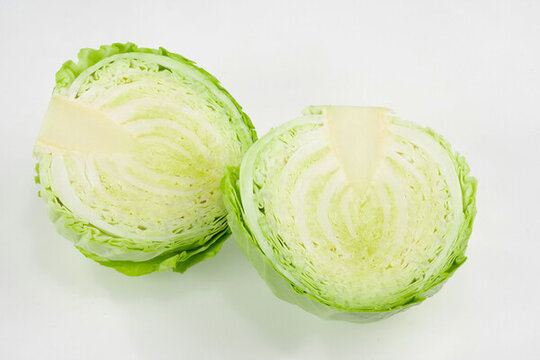 圓白菜包菜