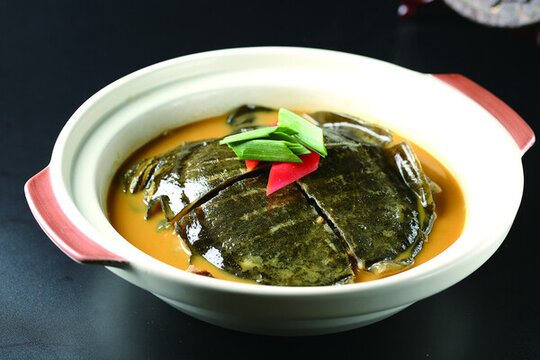 洞庭湖甲魚