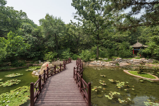 中國(guó)北戴河的聯(lián)峰山公園