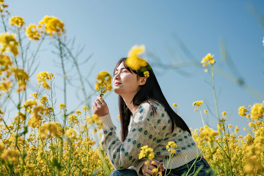 油菜花海里的女子