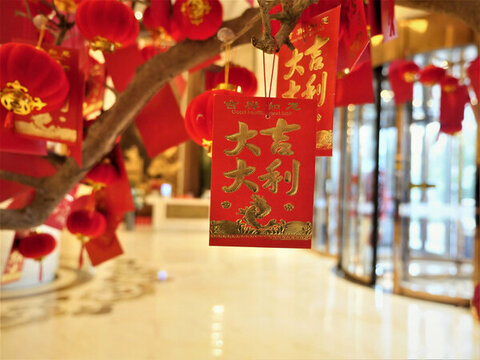 紅包樹