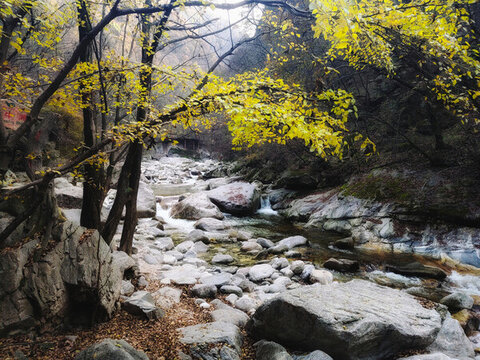 深秋的山間溪流