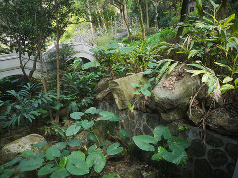 園林風(fēng)景