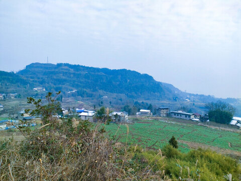 農(nóng)村田野