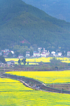 希望的田野