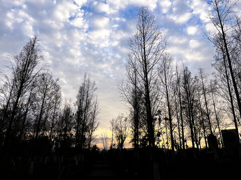 城市風光自然風景