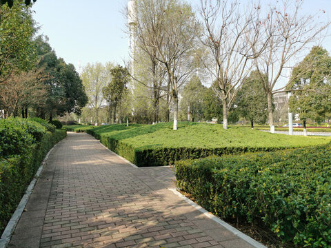 公園綠化