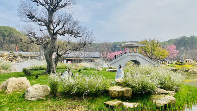 武漢東湖磨山櫻花園