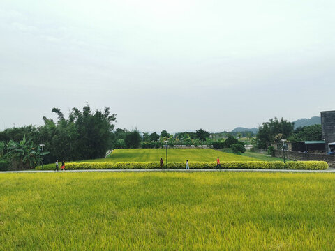 江門(mén)碉樓