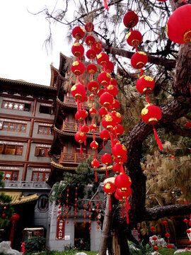 樹(shù)掛紅燈籠
