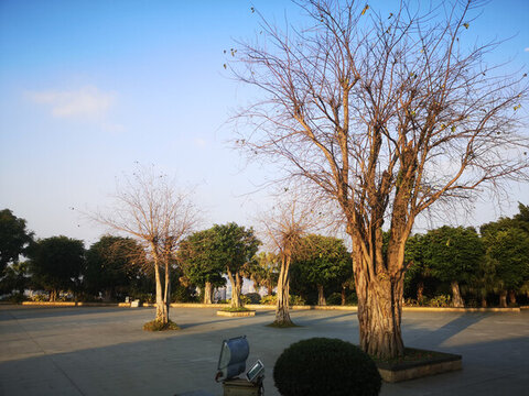 園林景色