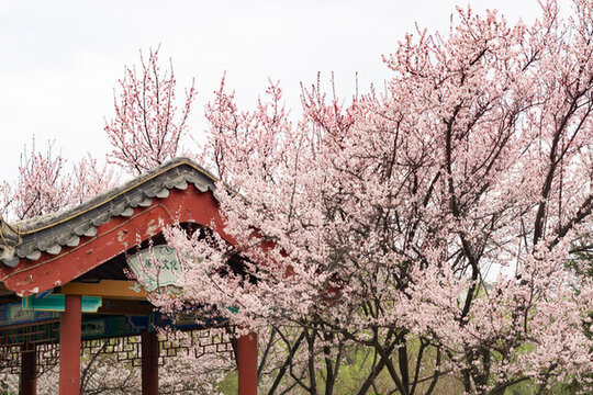 百脈泉公園