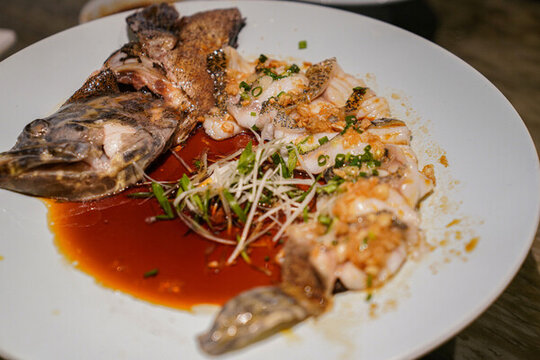 清蒸龍膽斑石斑魚海鮮美食
