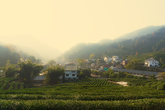 山景