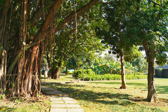 福州江濱公園