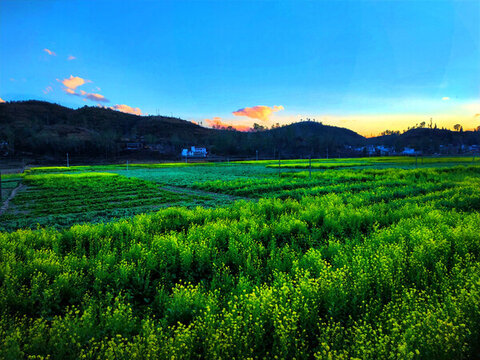 田園風(fēng)光